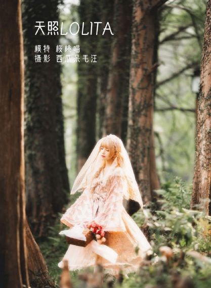 丝袜在线播放_免费高清在线观看